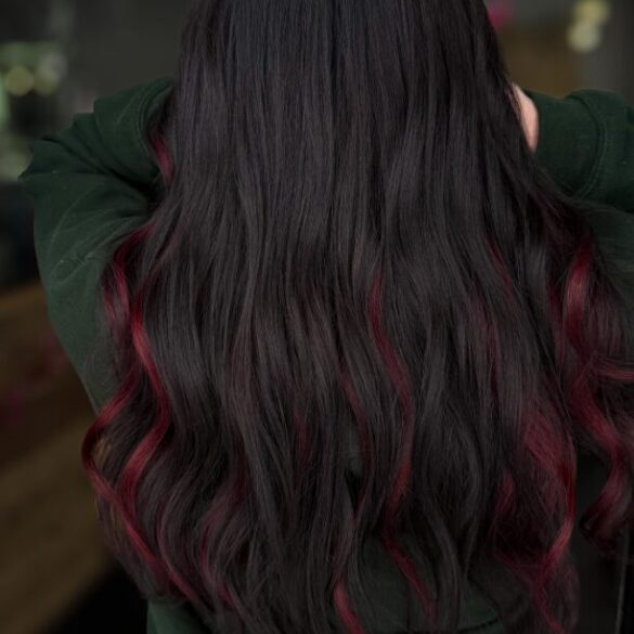 highlights in hamburg ny